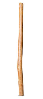 Medium Size Natural Finish Didgeridoo (TW1711)